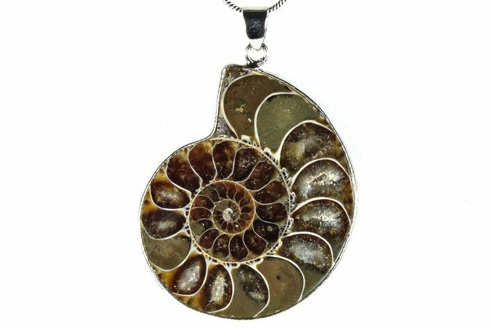 Fossil Ammonite Pendant - Million Years Old #306499